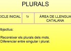 Els plurals | Recurso educativo 34264