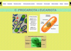 Cèl·lula procariota i eucariota | Recurso educativo 36073
