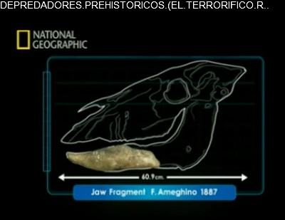 Depredadores prehistóricos: 1-El territorio raptor | Recurso educativo 37927