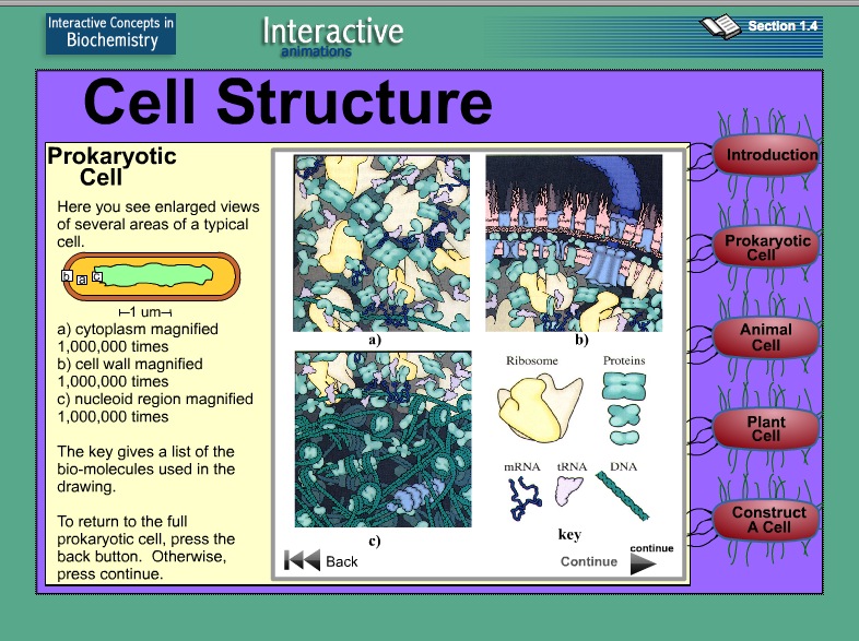 Video game: Cell Structure | Recurso educativo 39901