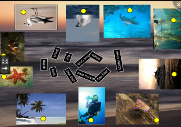 An ocean visit | Recurso educativo 46098