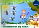 Los animales invertebrados | Recurso educativo 47207