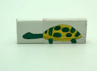 Caja tortuga | Recurso educativo 47581
