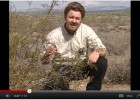 Desert Vegetation | Recurso educativo 47683