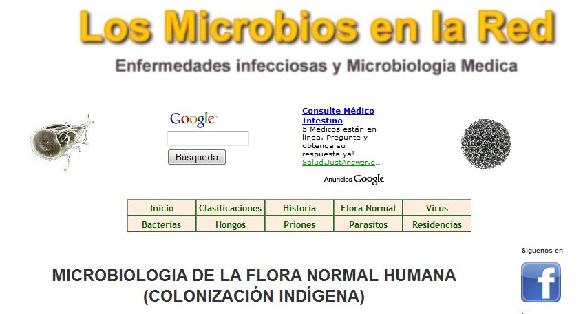 La flora microbiana normal humana | Recurso educativo 48127