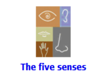 The five senses | Recurso educativo 48184