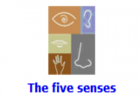 The five senses | Recurso educativo 48184
