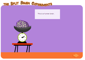 Game: The split brain experiments | Recurso educativo 49435