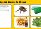 Acids and alkalis in action | Recurso educativo 53123