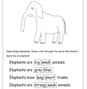 What do elephants look like? | Recurso educativo 54291