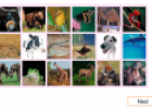 Animals (memory game) | Recurso educativo 17590