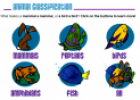 Animal classification | Recurso educativo 20974