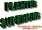 Plantes superiors | Recurso educativo 23142