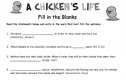 A chicken's life | Recurso educativo 63340