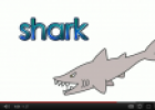Video: Sea animals talking flashcards | Recurso educativo 69164