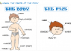 The body | Recurso educativo 69889