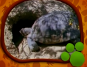El Maravilloso Mundo de los Animales: Las Tortugas | Recurso educativo 70845