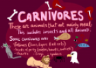 Carnivores | Recurso educativo 73396