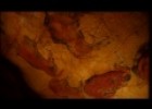 La cueva de Altamira - Breve presentación | Recurso educativo 80660