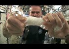 Wringing out a Water Soaked Washcloth in Space | CSA Science HD Video | Recurso educativo 102957