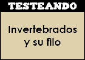 Invertebrados y su filo | Recurso educativo 353093