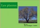 Les plantes | Recurso educativo 730464