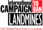 International Campaign to Ban Landmines | Recurso educativo 732488