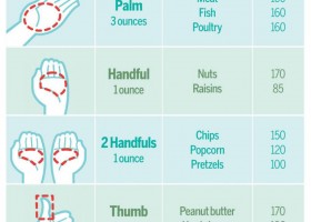 Chart showing relative size of portions relative to a hand. | Recurso educativo 733474