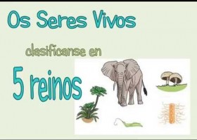 Os Seres Vivos | Recurso educativo 734970