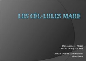 Cèl·lules mare | Recurso educativo 736732