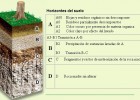 La formació del sòl | Recurso educativo 740651