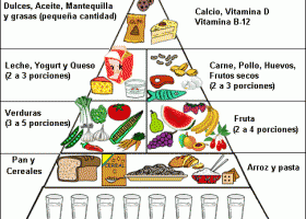 Diferentes tipos de dietas | Recurso educativo 747321