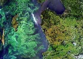 Threat of eutrophication to the Baltic Ecoregion | Recurso educativo 750532