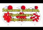 Medi isotònic, hipotònic i hipertònic | Recurso educativo 757384