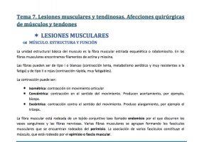 Lesions musculars i dels tendons | Recurso educativo 760509