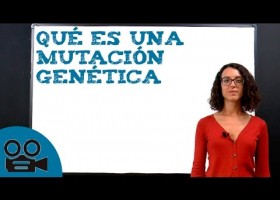 ¿Qué es una mutación genética? | Recurso educativo 763122