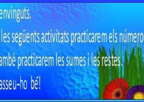 Sumes i restes | Recurso educativo 768655