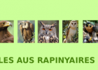 Les aus rapinyaires | Recurso educativo 768666