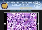 Atlas de Histología | Recurso educativo 773860