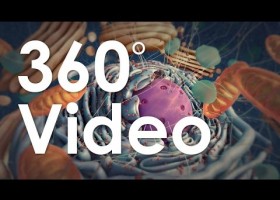 360° Guided Tour of the Cell (demo) | Recurso educativo 780258