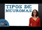 Tipos de neuronas | Recurso educativo 759021