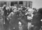 Introducción al Holocausto | Recurso educativo 787529
