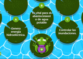 Froggy Jumps: Páramos andinos () | Recurso educativo 7901995