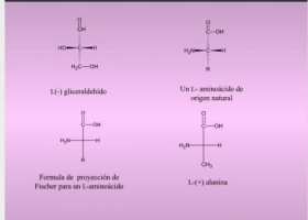 Aminoácidos y péptidos | Recurso educativo 755408