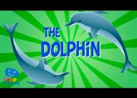 The Dolphin | Educational Video for Kids. | Recurso educativo 768377