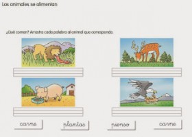 La alimentación de los animales | Recurso educativo 724851