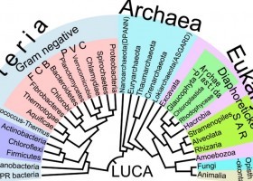 Fliloxenia | Recurso educativo 786370